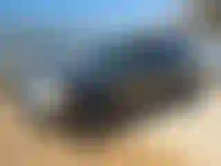 Vehicle Image- 2005 Ford Explorer