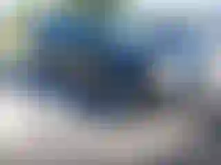 Vehicle Image- 2005 Ford Explorer