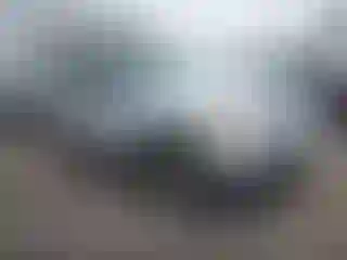Vehicle Image- 2004 Ford Explorer
