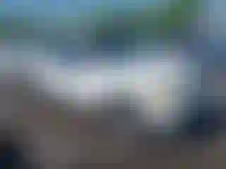 Vehicle Image- 2004 Ford Explorer