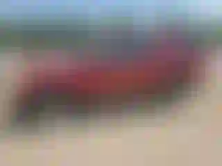 Vehicle Image- 2003 Ford Explorer