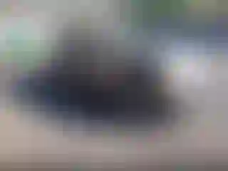Vehicle Image- 2004 Ford Explorer