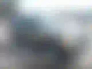 Vehicle Image- 2004 Ford Explorer