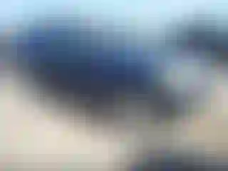 Vehicle Image- 2004 Ford Explorer