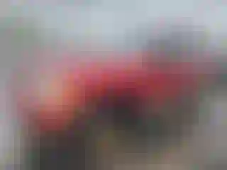 Vehicle Image- 2004 Ford Explorer