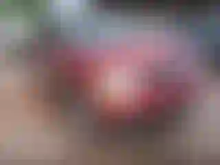 Vehicle Image- 2005 Ford Explorer