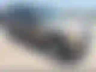 Vehicle Image- 2004 Ford Explorer