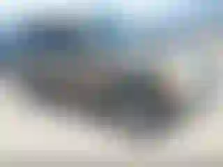 Vehicle Image- 2005 Ford Explorer
