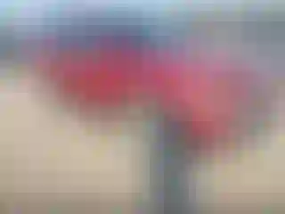 Vehicle Image- 2002 Ford Explorer