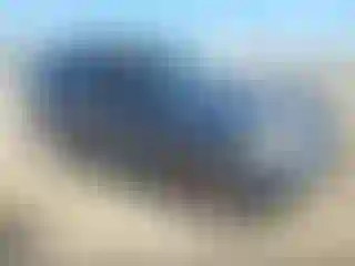 Vehicle Image- 2002 Ford Explorer