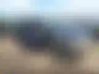Vehicle Image- 2001 Ford Explorer