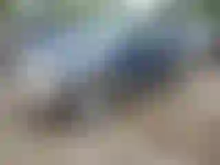 Vehicle Image- 2000 Ford Explorer