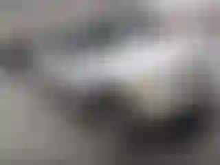 Vehicle Image- 2004 Ford Explorer