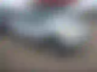 Vehicle Image- 2001 Ford Explorer