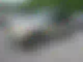 Vehicle Image- 2001 Ford Explorer