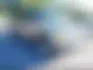 Vehicle Image- 2002 Ford Explorer