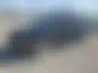 Vehicle Image- 2003 Ford Explorer
