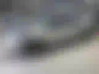 Vehicle Image- 2003 Ford Explorer