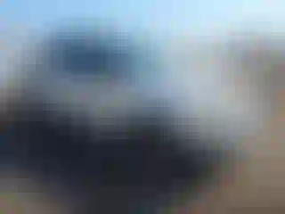 Vehicle Image- 2003 Ford Explorer