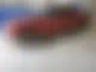 Vehicle Image- 2003 Ford Explorer