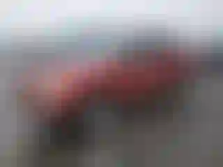 Vehicle Image- 2003 Ford Explorer