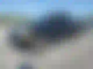 Vehicle Image- 2001 Ford Explorer