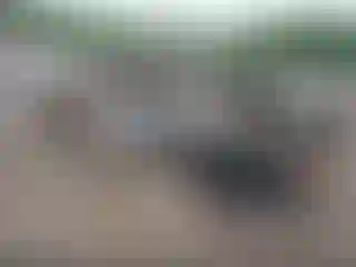 Vehicle Image- 2005 Ford Explorer