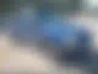 Vehicle Image- 2004 Ford Explorer