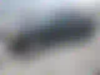 Vehicle Image- 2004 Ford Explorer
