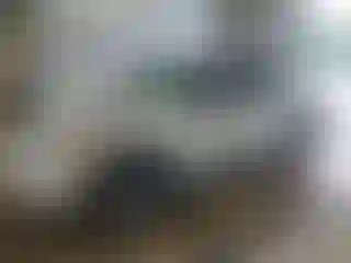 Vehicle Image- 2004 Ford Explorer