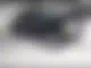 Vehicle Image- 2004 Ford Explorer