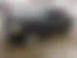 Vehicle Image- 2005 Ford Explorer