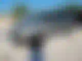 Vehicle Image- 2000 Ford Explorer