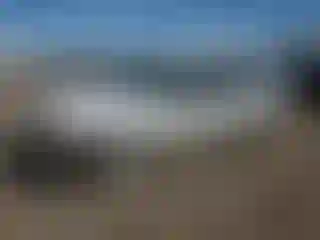 Vehicle Image- 2000 Ford Explorer