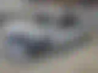 Vehicle Image- 2024 Ford F-150