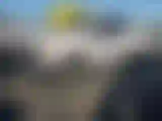 Vehicle Image- 2021 Ford F-250