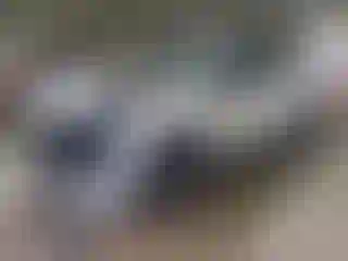 Vehicle Image- 2020 Ford F-250