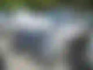 Vehicle Image- 2019 Ford F-250