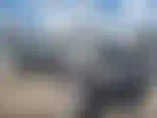 Vehicle Image- 2016 Ford F-250