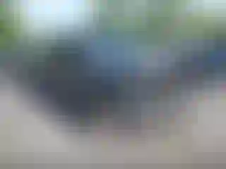 Vehicle Image- 2013 Ford F-250