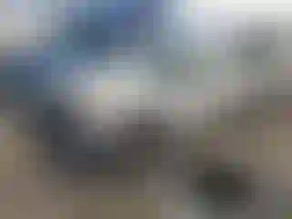 Vehicle Image- 2015 Ford F-250