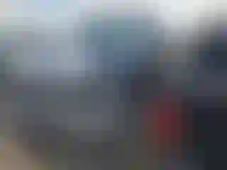 Vehicle Image- 2016 Ford F-250