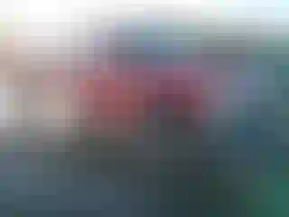 Vehicle Image- 2013 Ford F-250