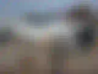 Vehicle Image- 2021 Ford F-250