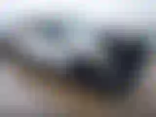 Vehicle Image- 2020 Ford F-250