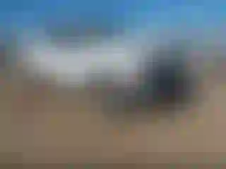 Vehicle Image- 2022 Ford F-250