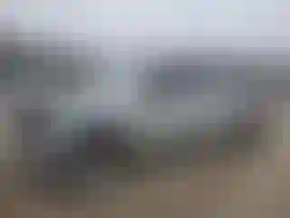 Vehicle Image- 2019 Ford F-250