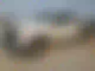 Vehicle Image- 2020 Ford F-250