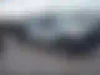 Vehicle Image- 2011 Ford F-250