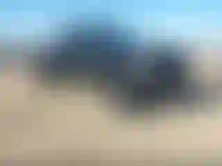 Vehicle Image- 2019 Ford F-250